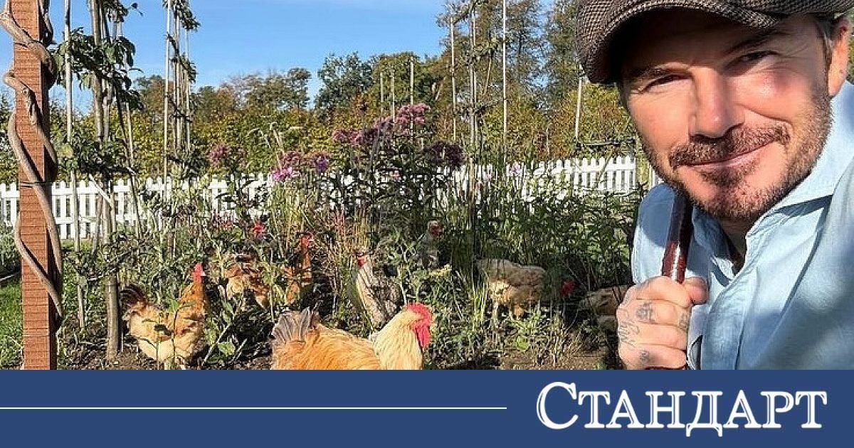 Dünyaca Ünlüler ve Kraliyet Mensupları Tavuklara Merak Sardı