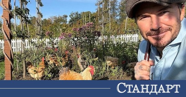 Dünyaca Ünlüler ve Kraliyet Mensupları Tavuklara Merak Sardı