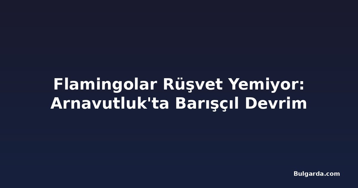 Flamingolar Rüşvet Yemiyor: Arnavutluk'ta Barışçıl Devrim