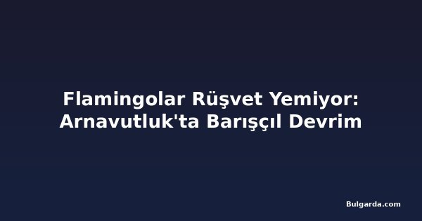 Flamingolar Rüşvet Yemiyor: Arnavutluk'ta Barışçıl Devrim