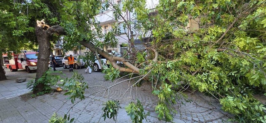 Fotoğraf: Bölgesel Yangın Güvenliği ve Nüfusun Korunması Müdürlüğü - Plovdiv