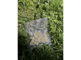 Kulata Üzerinden 200 kg'dan Fazla Marihuana Kaçakçılığı Yapan Sanık Mahkemeye Sevk Edildi