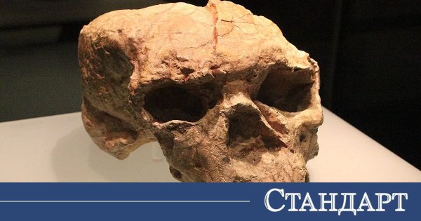 1 Milyon Yıllık Kafatası İnsan Evrimi Anlayışını Değiştiriyor