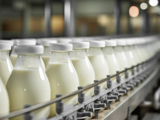 BABH: İthal Süt Numunelerinin Yaklaşık %24'ü Standart Dışı