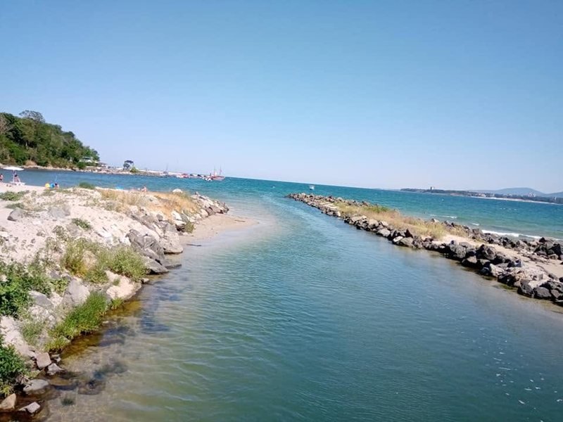 Egzotik Mavi Yengeç Burgaz Balık Pazarlarında, Kilosu 8 Avro