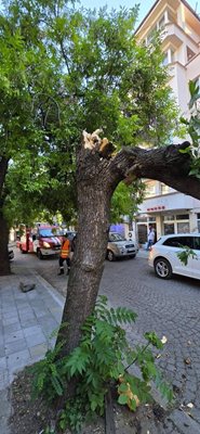 Fotoğraf: Bölgesel Yangın Güvenliği ve Nüfusun Korunması Müdürlüğü - Plovdiv