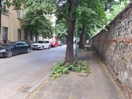 Plovdiv Merkezinde Hasarlı Cadde Onarılıyor