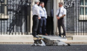 Downing Street 10'un Efsane Kedisi Larry: 15 Yılda Altı Başbakan Geldi Geçti