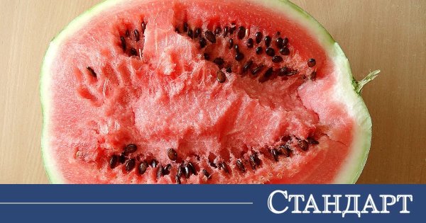 Karpuz Çekirdekleri Yenebilir mi? Diyetisyenler Cevaplarıyla Şaşırttı