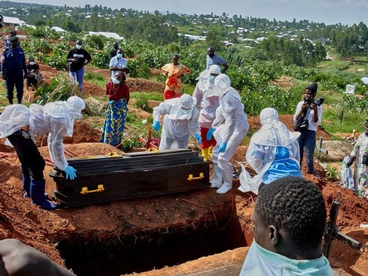 Ebola Vaka Sayısı 782'ye Yükseldi