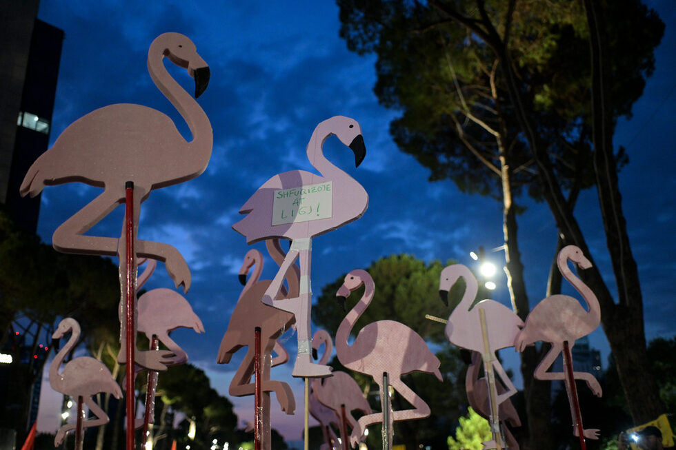Protestocular flamingo sembolleri taşıyor