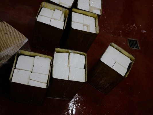 Tüccarlar Sıkı Sınır Denetimi Nedeniyle Kaos ve Peynir Fiyatlarında Artış Öngörüyor (Özet)
