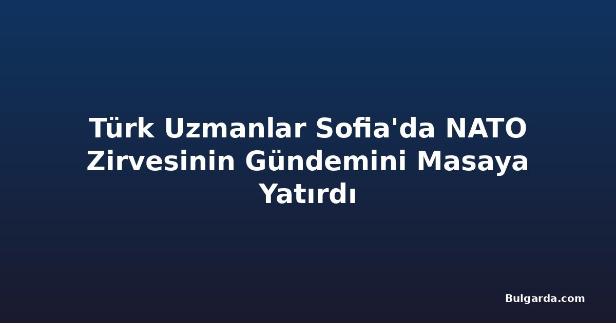 Türk Uzmanlar Sofia'da NATO Zirvesinin Gündemini Masaya Yatırdı