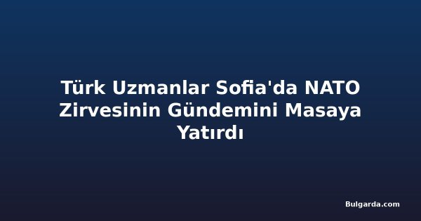 Türk Uzmanlar Sofia'da NATO Zirvesinin Gündemini Masaya Yatırdı
