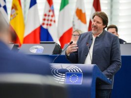 AP Milletvekilleri Thomas Waitz'in Kuzey Makedonya Raporundaki Değişikliğini Reddetti, Ortak Tarih Maddesi Kaldı