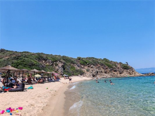 Yunanistan'da Plajda Köpek Gezdirmeye 300 Euro Ceza