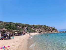 Yunanistan'da Plajda Köpek Gezdirmeye 300 Euro Ceza