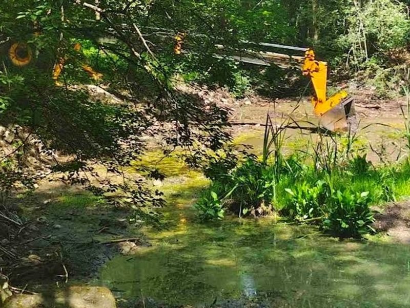 Güney Parkı'ndaki Göllerin Restorasyonu İlerliyor
