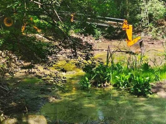 Güney Parkı'ndaki Göllerin Restorasyonu İlerliyor