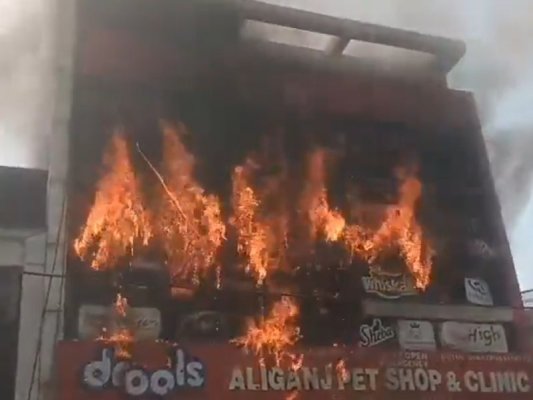 Hindistan'da Animasyon Eğitim Merkezinde Yangın: 15 Ölü (Video)