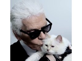 Karl Lagerfeld'in Kedisi Choupette Milyonlarca Euroluk Mirasa Kavuşamadı, Çalışmak Zorunda Kaldı