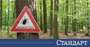 Kene Sezonunda Alarm: Bulgaristan'da Sadece Bir Haftada İki Tehlikeli Ensefalit Vakası