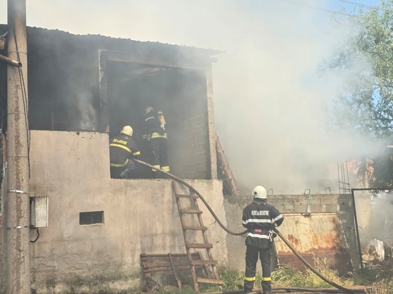 İtfaiyeciler Asenovgrad'ın Boyantsi Köyünde Çıkan Yangında 30 Koyunu Kurtardı