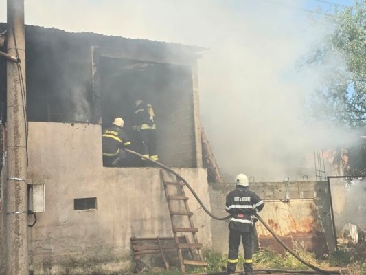 İtfaiyeciler Asenovgrad'ın Boyantsi Köyünde Çıkan Yangında 30 Koyunu Kurtardı