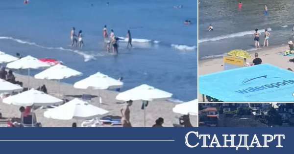 Denize Atladılar! Kötülemeden Önce Gelin Görün