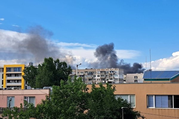 KAÇIR: Feyzbuk/Albena Runeva