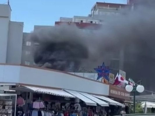 Güneş Plajı'ndaki Yangın Çöpten Çıktı, Ağacı Tutuşturdu