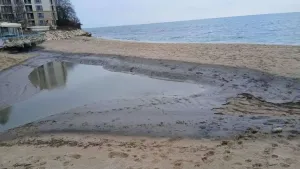 Mazut Canavarı Karadeniz Sahillerine Yayıldı. Turizmimizi Öldürüyor