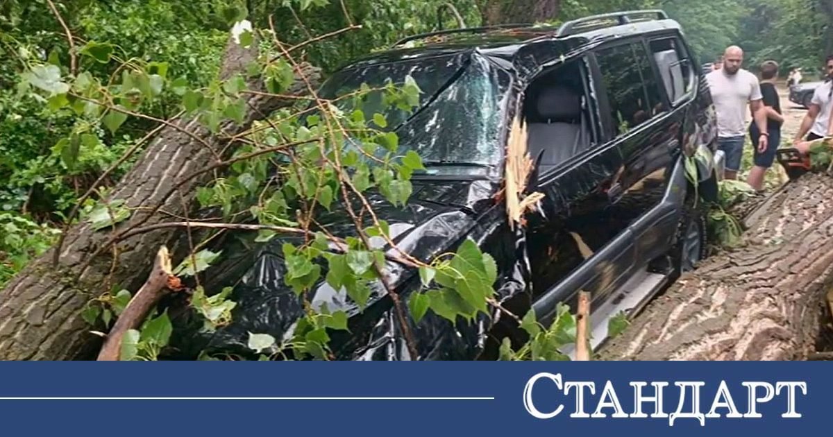 Plovdiv’de Ağaç, 11 Yaşındaki Çocuğun Hemen Önce İndiği Jeep’i Ezdi