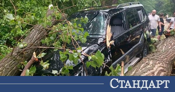 Plovdiv’de Ağaç, 11 Yaşındaki Çocuğun Hemen Önce İndiği Jeep’i Ezdi