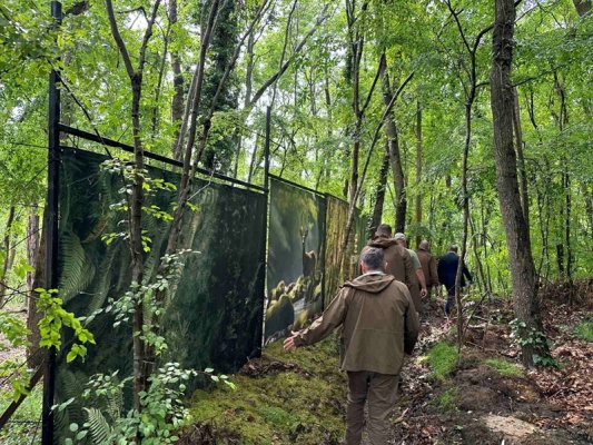 Geçici Başsavcı Vekili Stefanova, Varna'da Baba Alino Soruşturması İçin Savcı Görevlendirdi