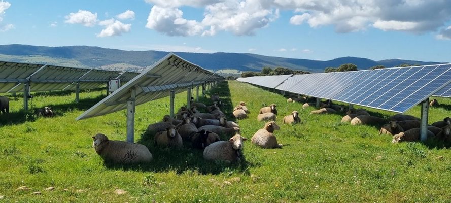Son 5 yılda Bulgaristan, yenilenebilir kaynaklardan (çoğunlukla güneş) elektrik üretimi ve depolama sistemlerine 5 milyar avronun üzerinde yatırım yaptı.