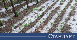 Şiddetli Dolu Fırtınası Birçok Köyü Vurdu ve Mahsulleri Yok Etti