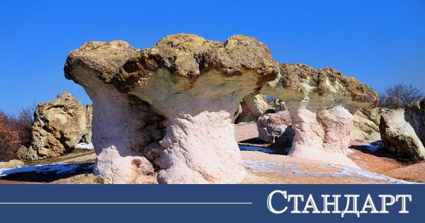 Dört Kız Kardeşin Laneti. Taş Mantarların Sırrı