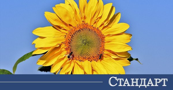 Meteorologlar: Bugün Büyük Dönüş Öncesi Sakin Hava