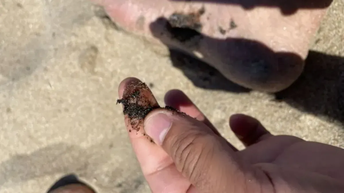 Karadeniz Sahillerindeki Katran Toplarının Sırrı Açıklandı