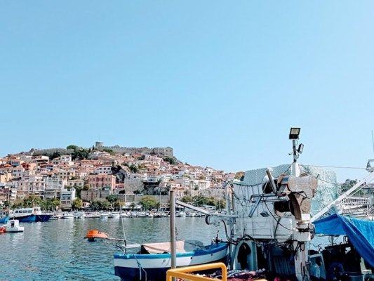 Bulgar Araba Kavala Limanında Denize Düştü, İki Çocuk Kıl Payı Kurtuldu