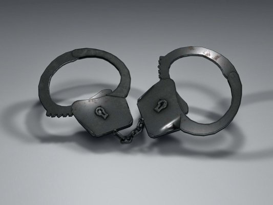 Türk Kamyon Şoförü Polise Rüşvet Verme Girişiminde Tutuklandı