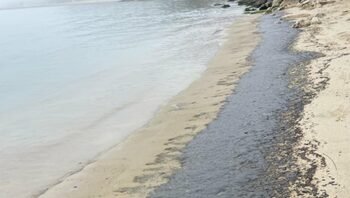 Sozopol Yakınlarındaki Arkutino Plajı Akaryakıtla Kirlendi
