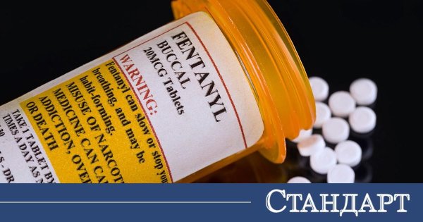 Filibe'nin Merkezinde Şok: Adam Hareketli Bulvarın Ortasında Zombi Gibi Yürüdü