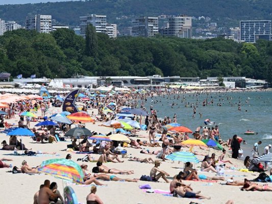 NAPDENETİM, Karadeniz Kıyısında Sürpriz Denetimlere Başlıyor