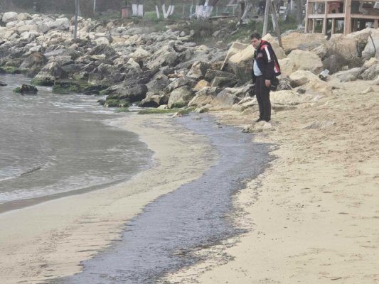 Veleka Plajında Mazot Topakları: Ekolojik Felaket, Bakanlar Nerede?