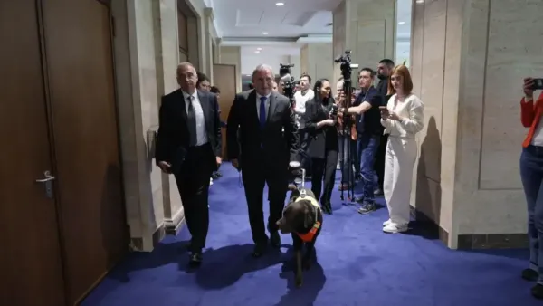 Parlamento'da tüm dikkatleri üzerine çeken 'farklı' milletvekili: 241. vekil