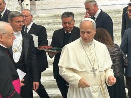 Papa XIV. Leo: Çatışmaları İnsan Gibi Çözelim, Hayvanlar Gibi Değil