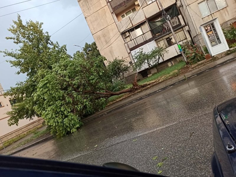 Kasırga Petrich'i Vurdu, Blagoevgrad Yağmurla Atlattı