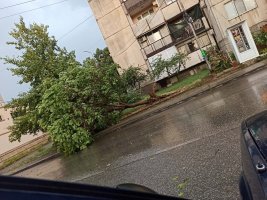 Kasırga Petrich'i Vurdu, Blagoevgrad Yağmurla Atlattı